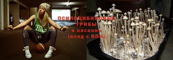 СК Алексин