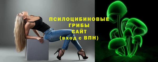 СК Алексин