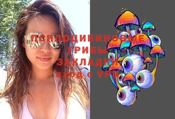 прущий лед Алзамай