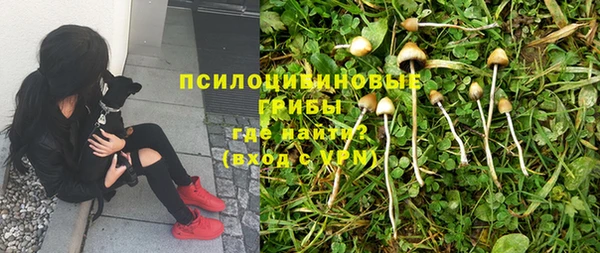 СК Алексин