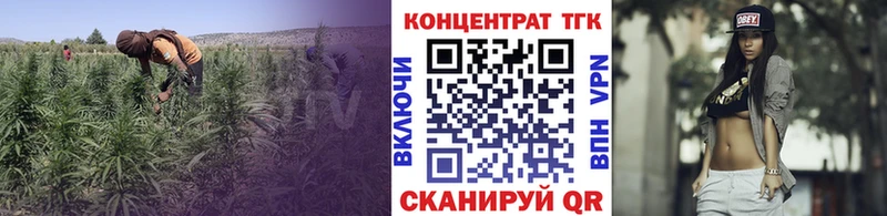 где купить   Кольчугино  Дистиллят ТГК гашишное масло 